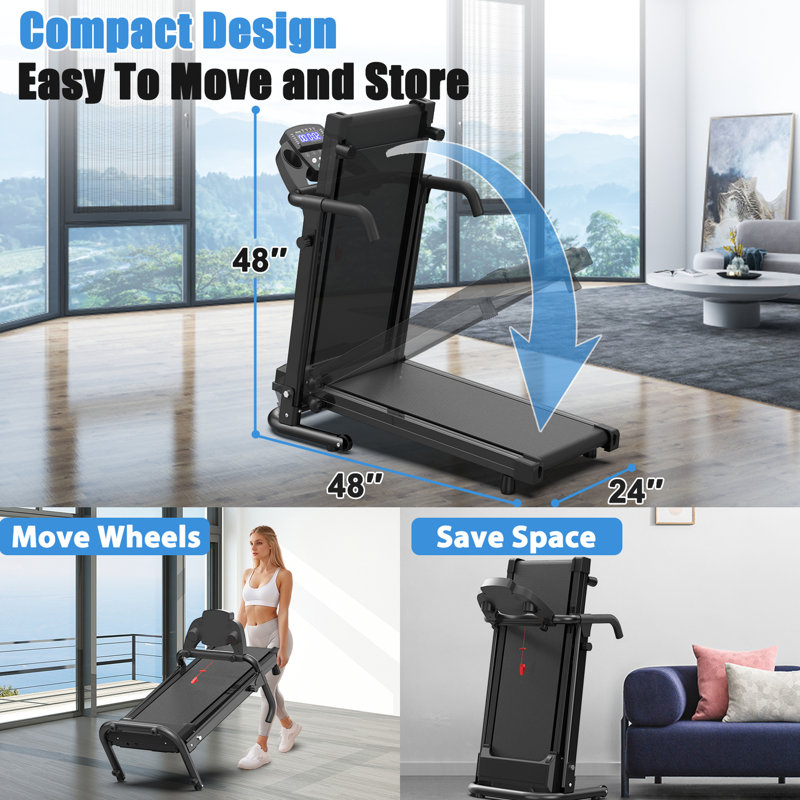 AMPLIFYBUILT Back Support