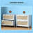 2 Drawer File Cabinet with Adjustable Hanging Bar for Letter, Lockable Filing Cabinet