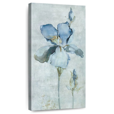 Grand iris bleu