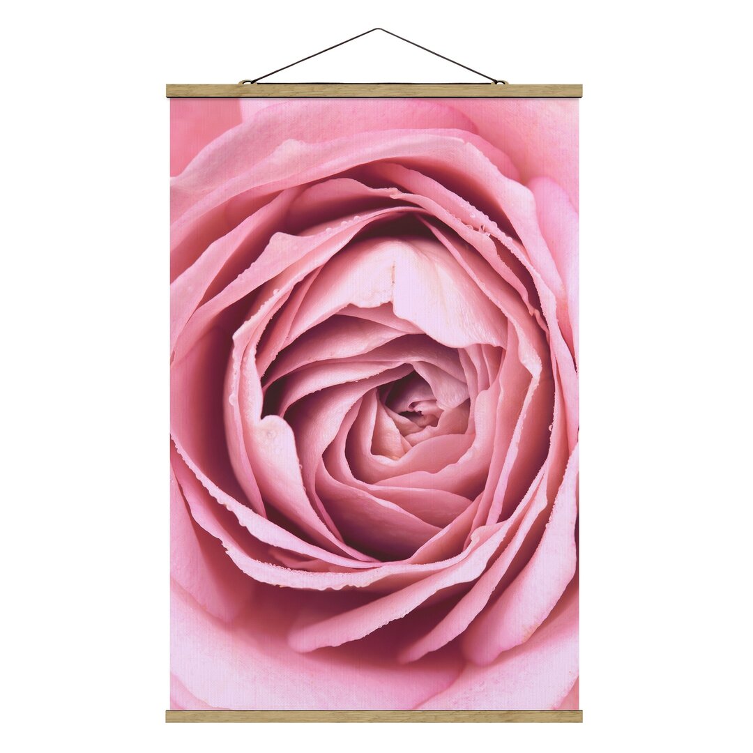 Fotodruck Pink Rose Blossom