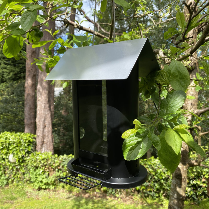 Frayed Metal Hanging Hopper Bird Feeder