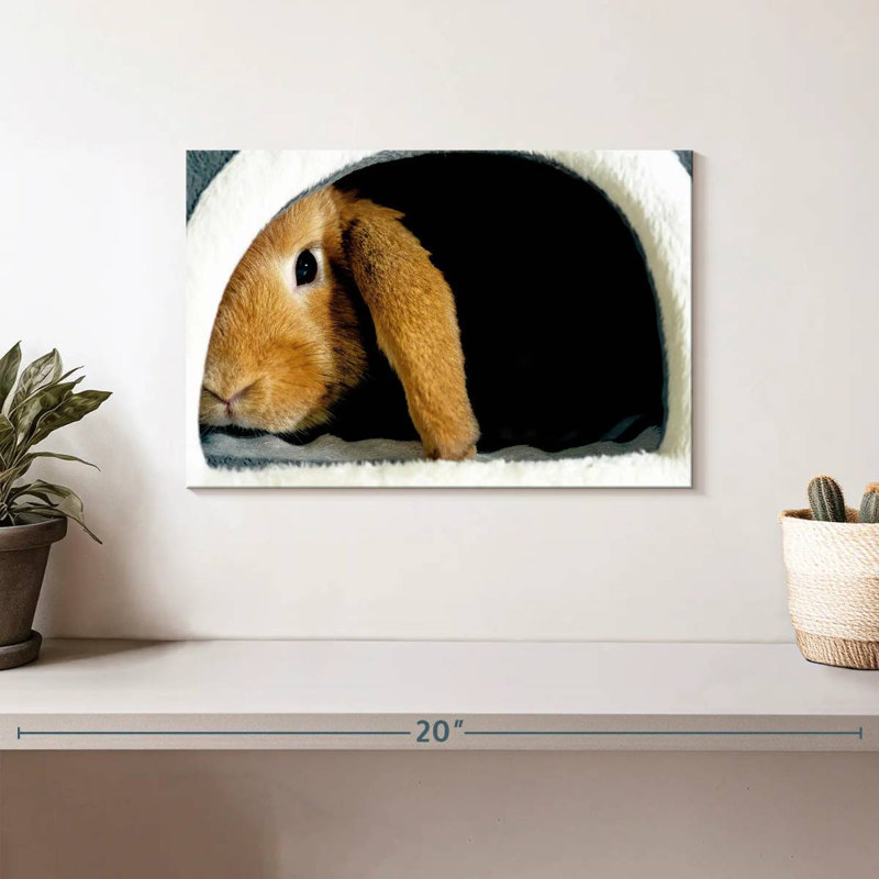 Brampt Rabbit Home, 8" H x 12" W