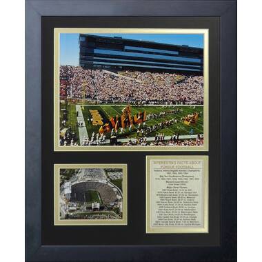 BlakewayPanoramas Cincinnati Bengals - Paycor Stadium Framed On Paper by  James Blakeway Photograph