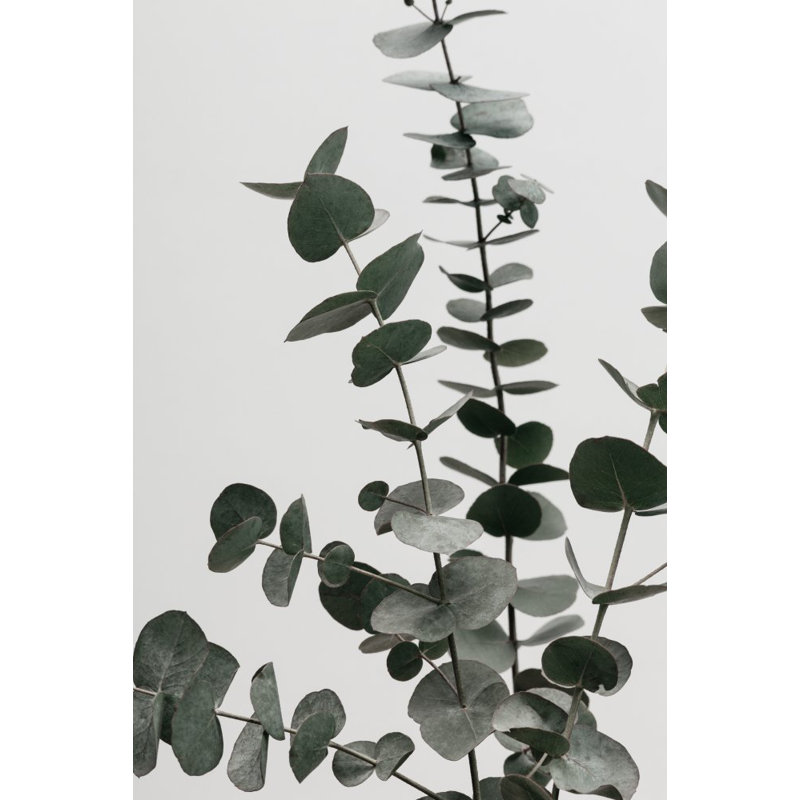 Wrapped Canvas Print, 76.2 cm H x 50.8 cm W