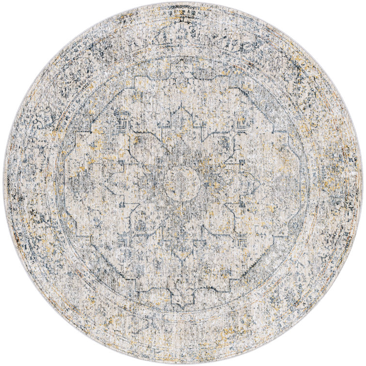 Diera Oriental Indoor Rug