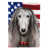 Afghan Hound