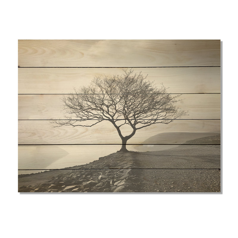 Un bel arbre dans un paysage au bord du lac - Art mural en bois sur bois de pin naturel, H 30 po x l 40 po