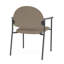 Chaise d'invité Chat Chat-98671299-98882116