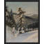 «Pin recouvert de neige» sur papier-98299411-98299414