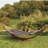 Searcy 2 Person Classic Hammock-1353453869