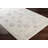 Nadean Oriental Indoor Rug-269712724