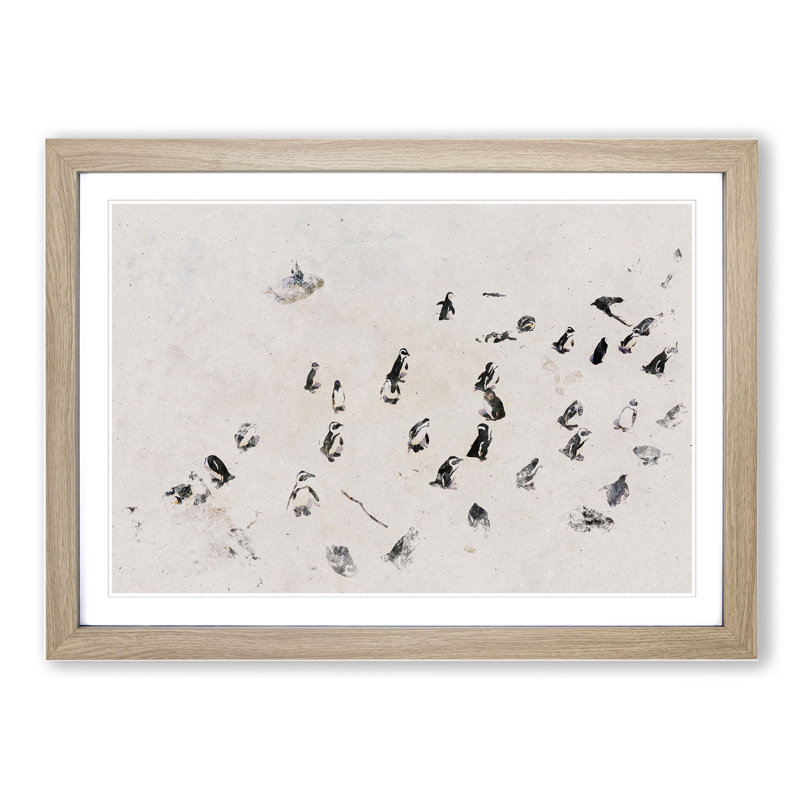Penguin Beach - Picture Frame Graphic Art, Oak Framed, 65cm H x 90cm W x 2cm D