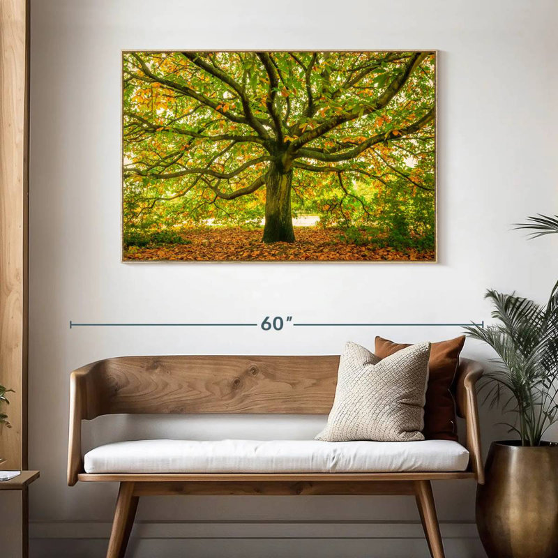 Chêne de Londres, Cadre flottant en bois naturel, 46 po x 31 po
