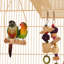 159cm Iron Pointed Top Floor Bird Cage with Wheels-332301994