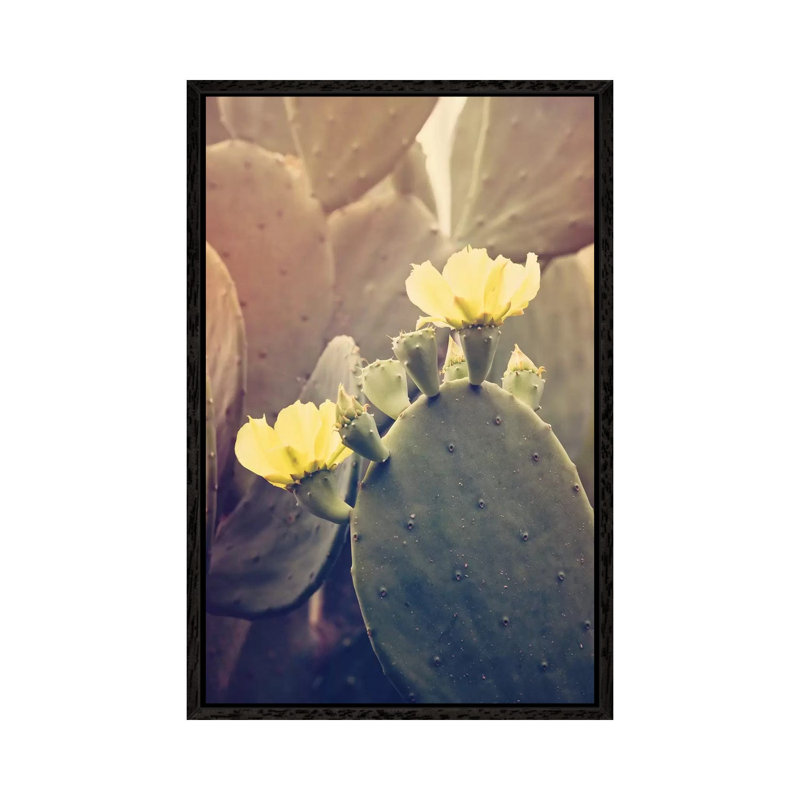 Desert Rose by Ann Hudec - Print on Canvas, Black Framed, 66.04cm H x 45.72cm W x 3.81cm D