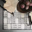 Havier Hand Tufted Wool Black/Cream Rug-1334135956