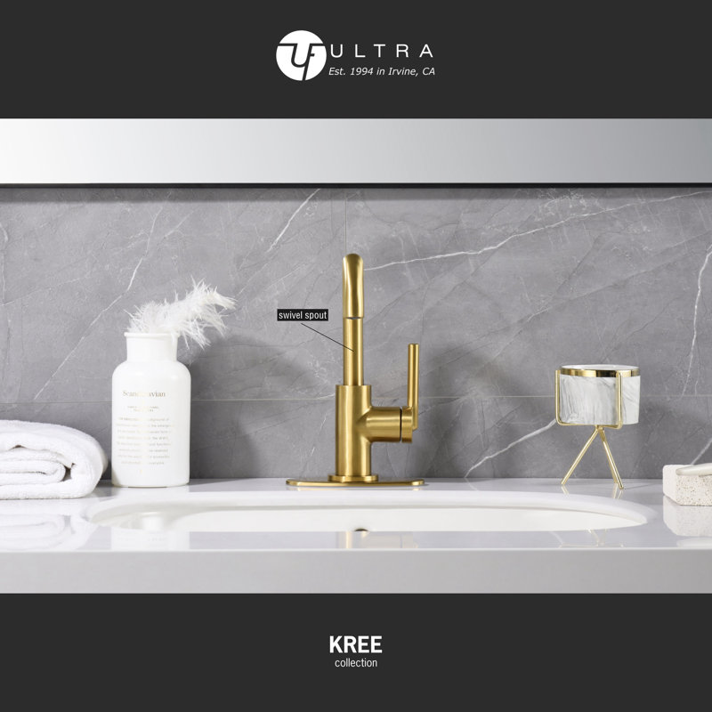 Matte Black Single-Handle Bathroom Faucet with Drain Assembly
