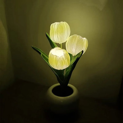 Novelty Lamp