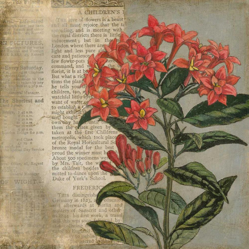 «Lark Manor ™ Meagher, Megan», art sur toile tendue sous le titre «Vintage Fleur Rouge II», H 36 po x l 36 po