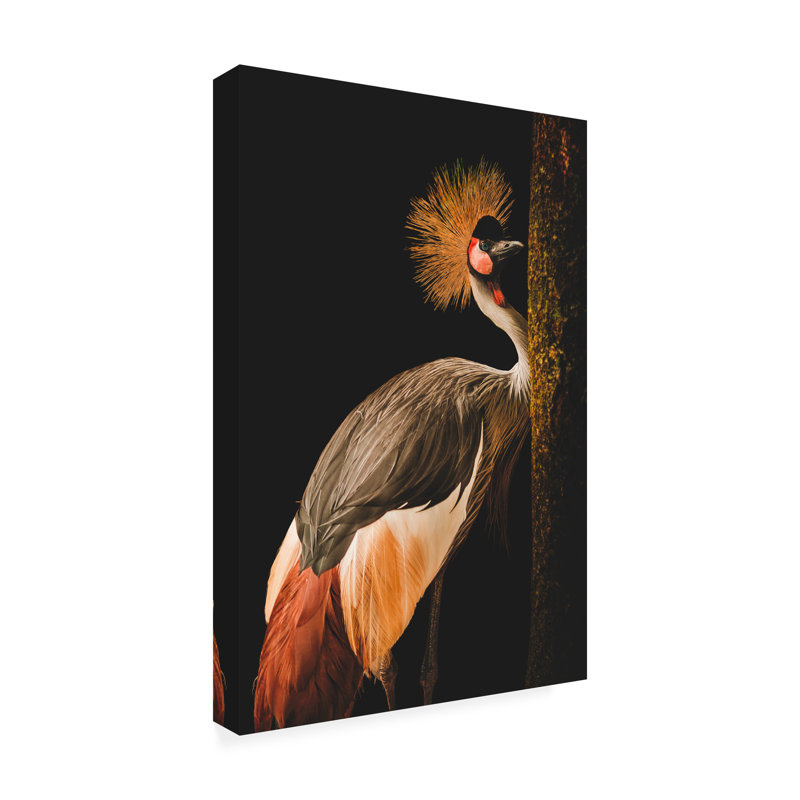 Karl Blossfeldt Blossfeldt Rosette I Canvas Art, H 19 po x l 12 po x P 2 po