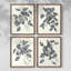 «Naissant I», 4 pièces sur papier-1363856270-1363856259
