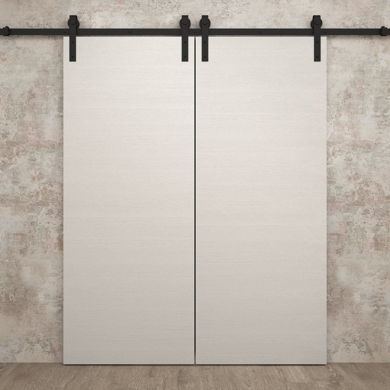Porte de grange double moderne | Ego 5000 | Ensemble de rails | Portes intérieures solides, 64 po x 96 po, Chêne blanc peint