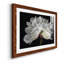 Morning Light - Reproduction d'art sur papier encadrée-1950103039-1950103036