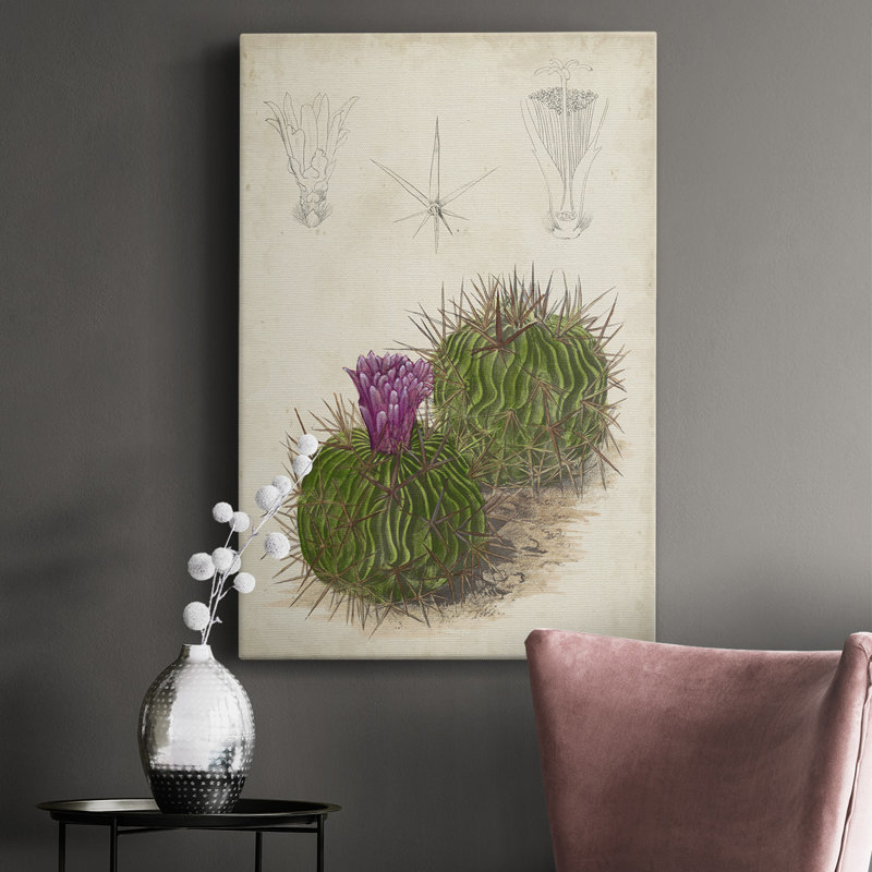 Cactus antique II - peinture sur toile tendue, H 60 po x l 40 po x P 1 po