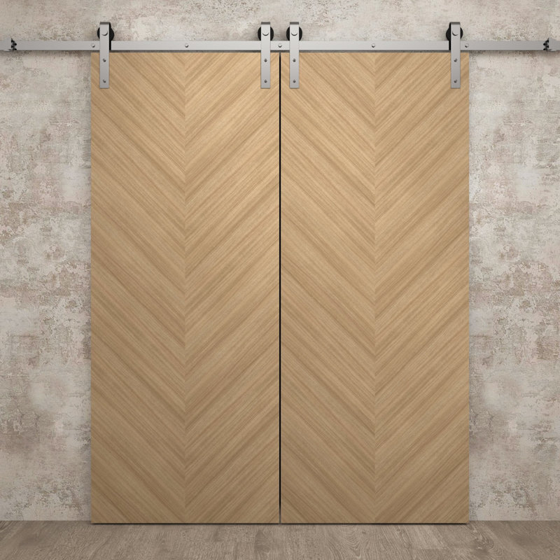 Porte de grange double moderne 48 x 96 pouces Ego 5005 Chêne naturel, rail argenté de 13 pieds, portes intérieures à panneaux pleins