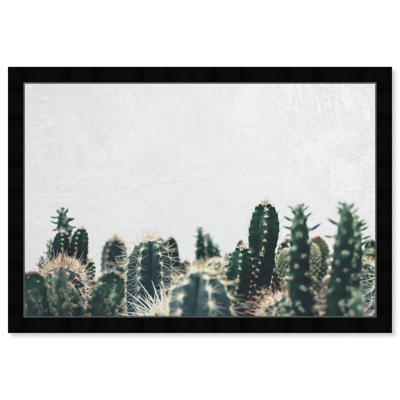 Photographie de cactus vert - cadre photo, H 12 po x l 17 po, Cadre doré
