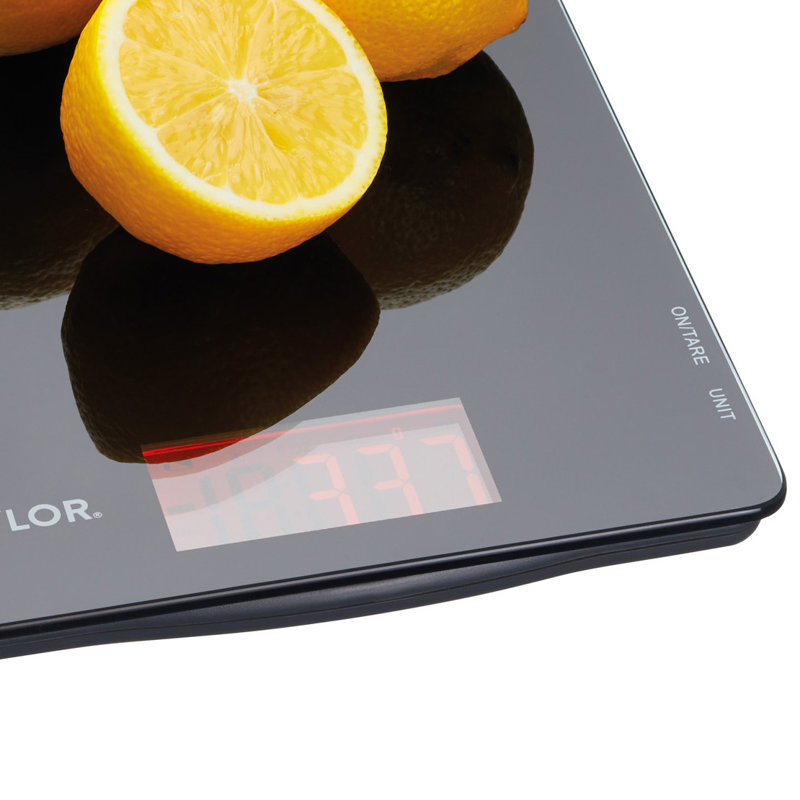 Taylor Pro Digital Scale