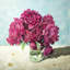 Fuchsia pivoine - Toile florale mauve encadrée pour la décoration intérieure
