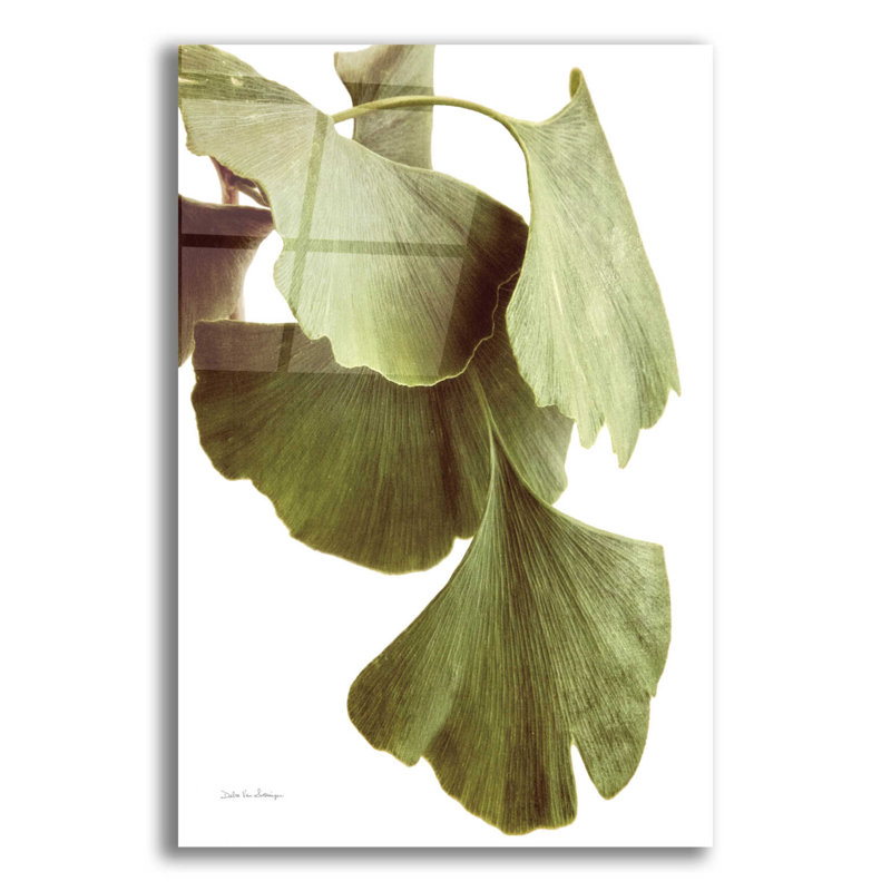 «Ginko Color on White» par Debra Van Swearingen - photographie sans cadre, H 16 po x l 12 po x P 0,13 po