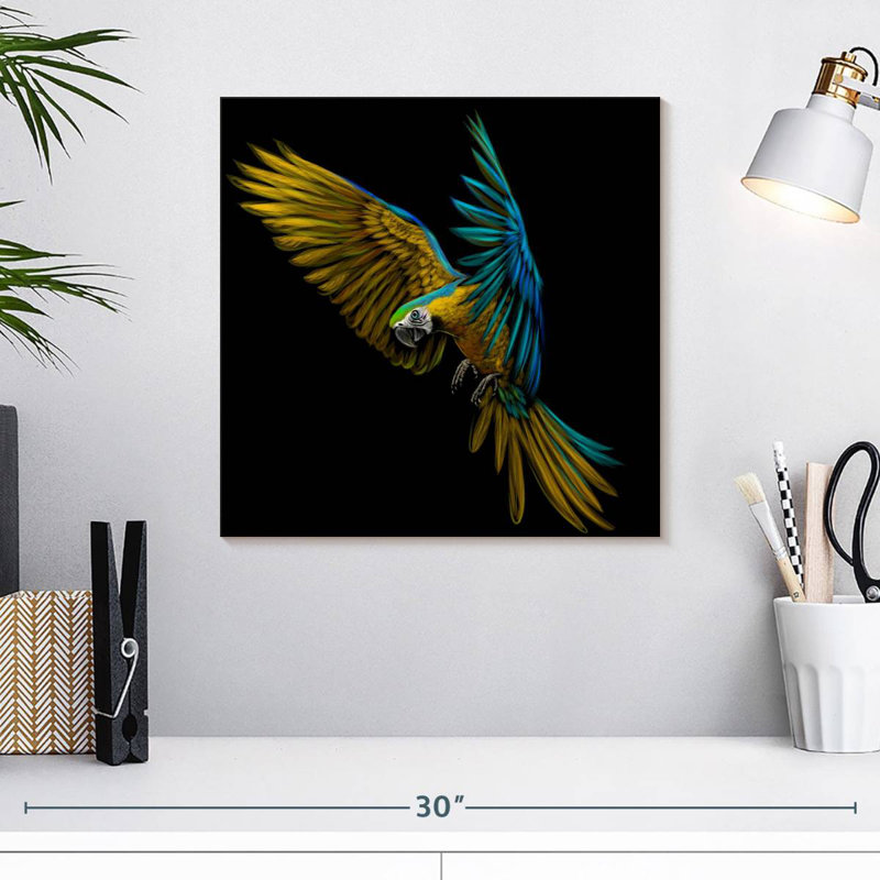 Crowle Wild Macaw, 16" H x 16" W
