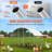 63 Square Feet Chicken Run