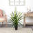 Orchids Arrangement in Planter-179369216