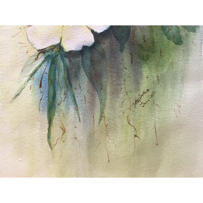 Fleur blanche | Peinture à l'aquarelle | Par Amit Suthar