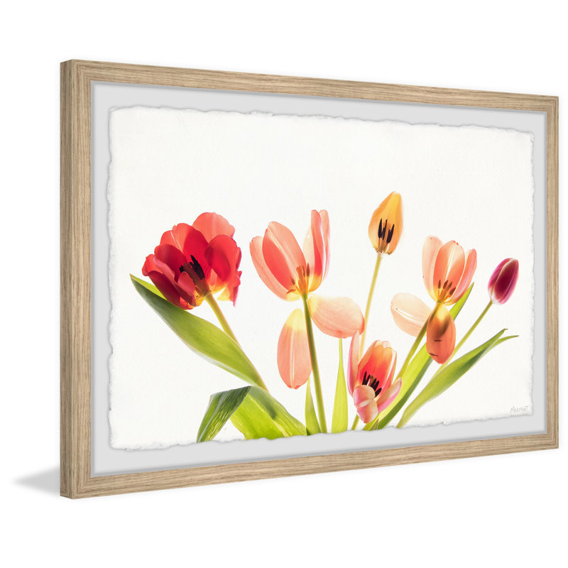 Pursue Your Dreams by Marmont Hill - Single Picture Frame Painting, 20cm H x 30cm W