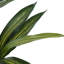Plante en faux ciment 51,25 po Mcginnis