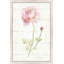 «June Blooms I», reproduction de peinture acrylique-29606381-63944501