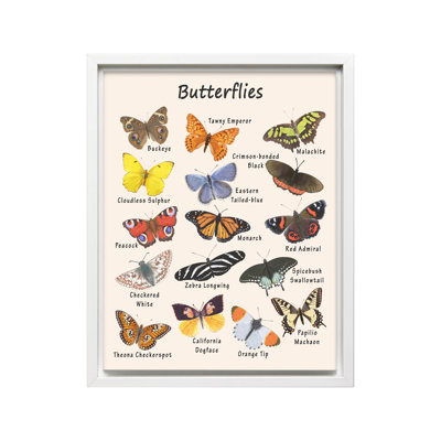 Butterflies No2