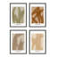 Marine Flora-1562326235-1562326239
