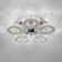 Lienhardt Ceiling Fan with LED Lights