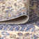 Mordecai Modern Tribal Medallion Lavender/Gray Rug