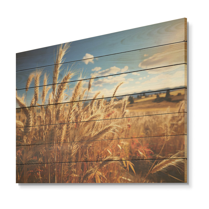 Golden Harvest Meadow Horizon IV - prairie sur bois, H 10 po x l 20 po x P 0,78 po