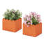 Hartnell Pot Planter