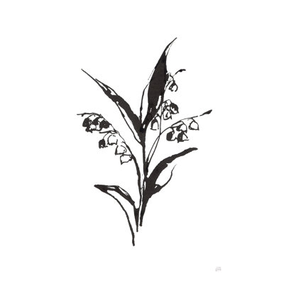 " Line Lily Of The Valley I " by Chris Paschke
