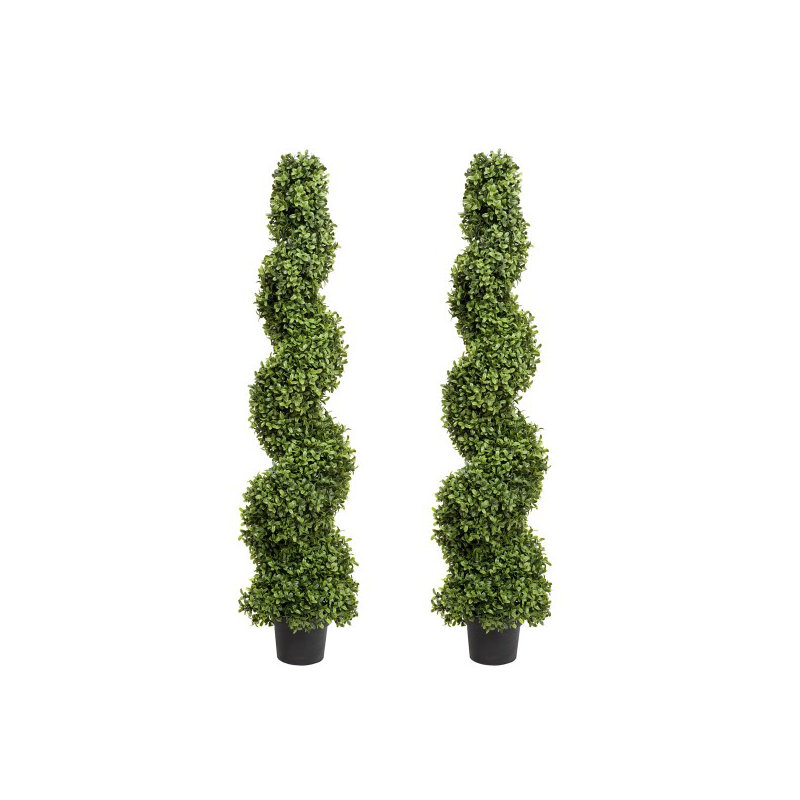 125cm Plant
