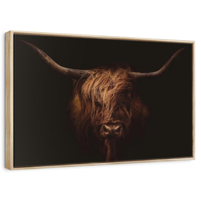 Belle vache Highland