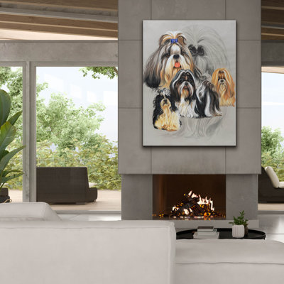 " Shih Tzu " by Barbara Keith